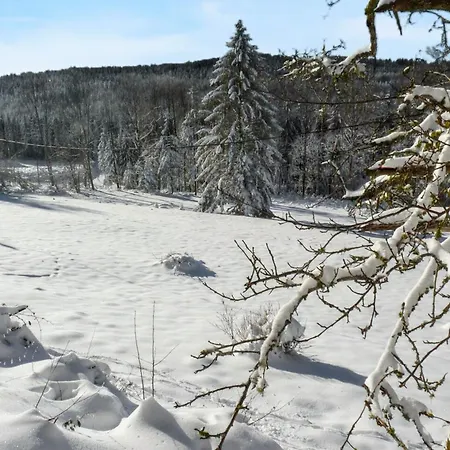 Maison Spacieuse A Avec Jacuzzi Σπίτι διακοπών Arrentès-de-Corcieux