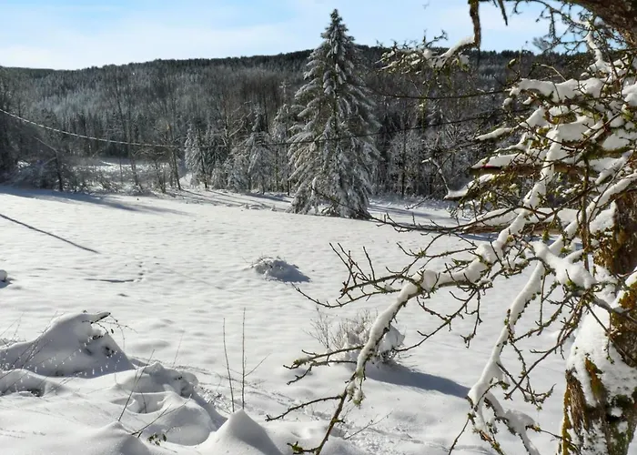 Maison Spacieuse A Avec Jacuzzi Prázdninový dům Arrentès-de-Corcieux